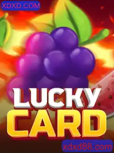Descubra o Fascinante Mundo de LuckyCard: O Jogo que Conquista Novos Fãs